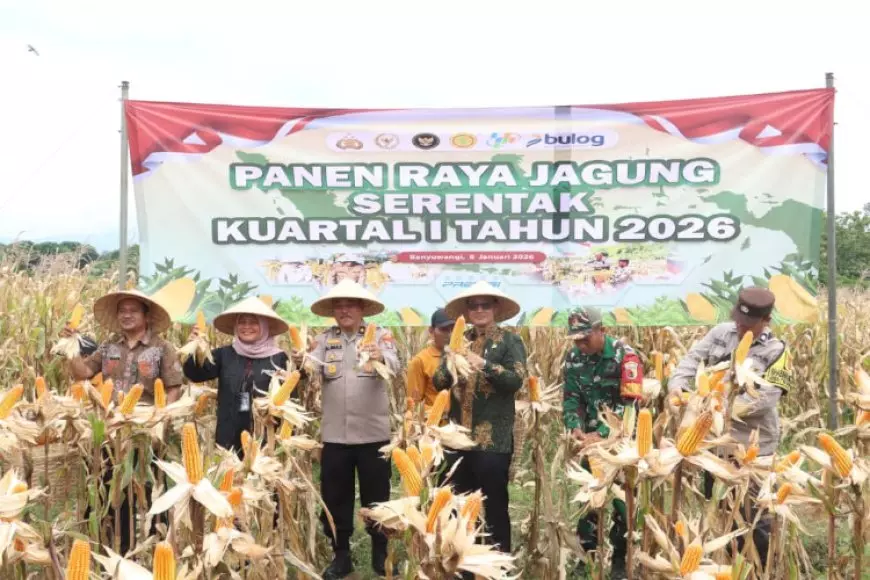 Polresta Banyuwangi Panen Raya 126 Ton Jagung