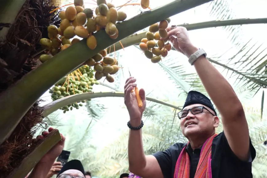 Dukung Perkebunan Kurma Lombok Utara, Kemenhaj Siapkan Platform Oleh-Oleh Haji