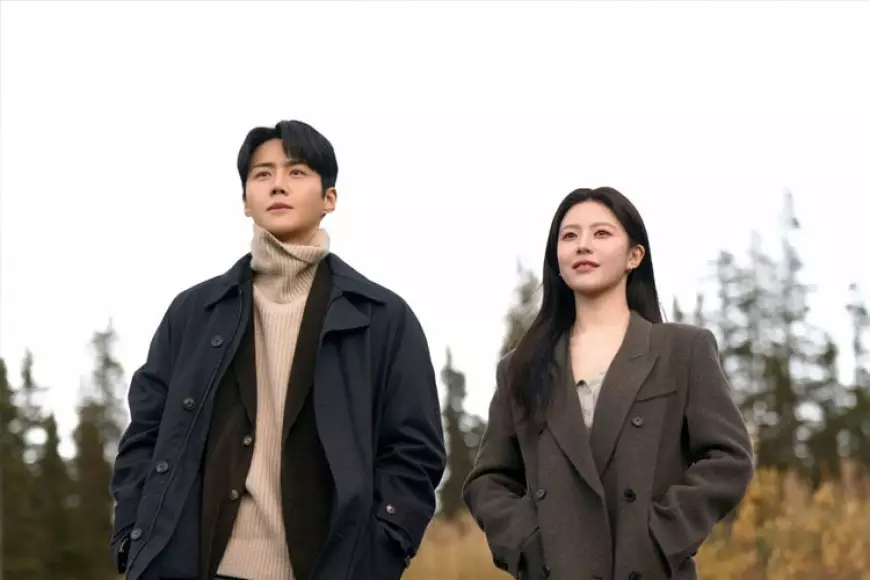 Aurora, Saksi Cinta Go Yoon Jung dan Kim Seon Ho di Can This Love Be Translated